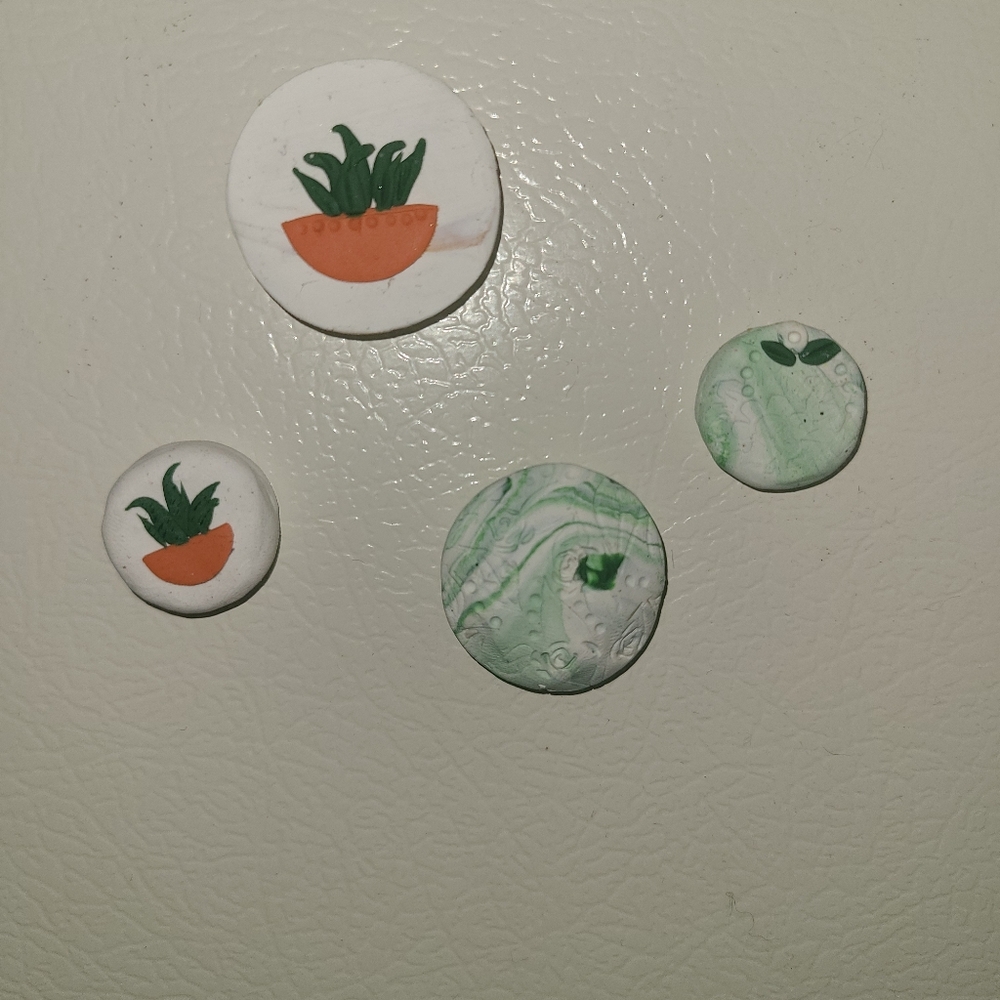 Succulent magnets